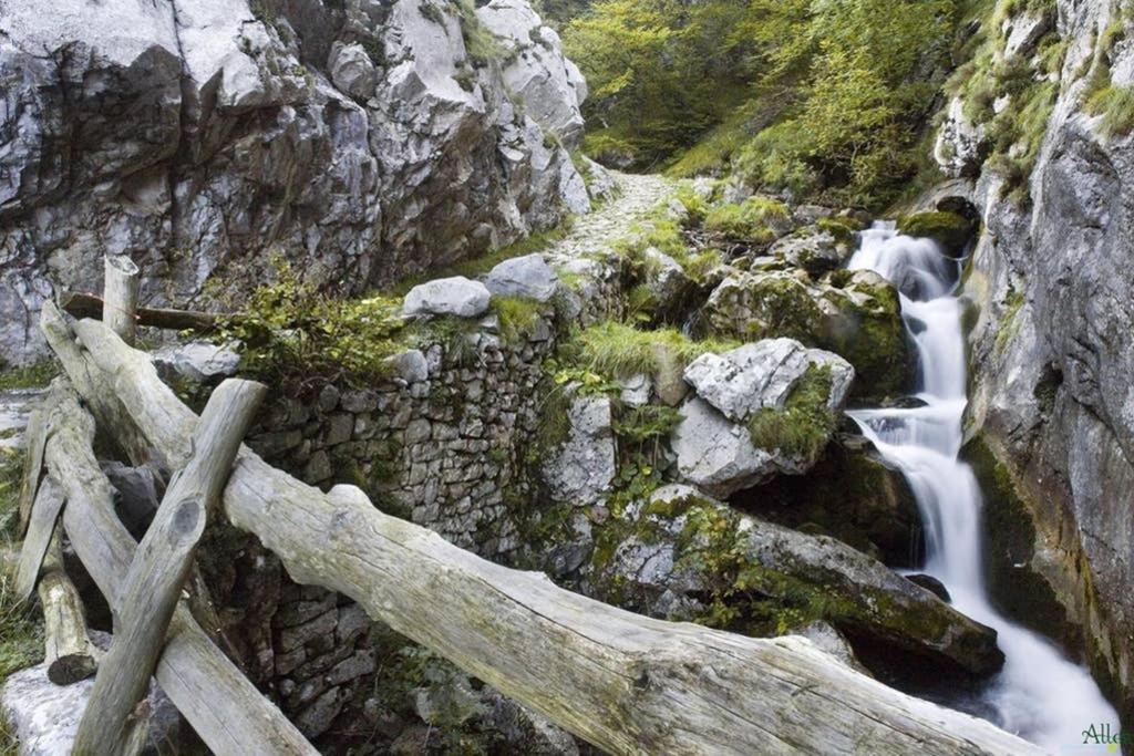 Los Molinos - Atico En Montana De Asturias Felechosa Extérieur photo