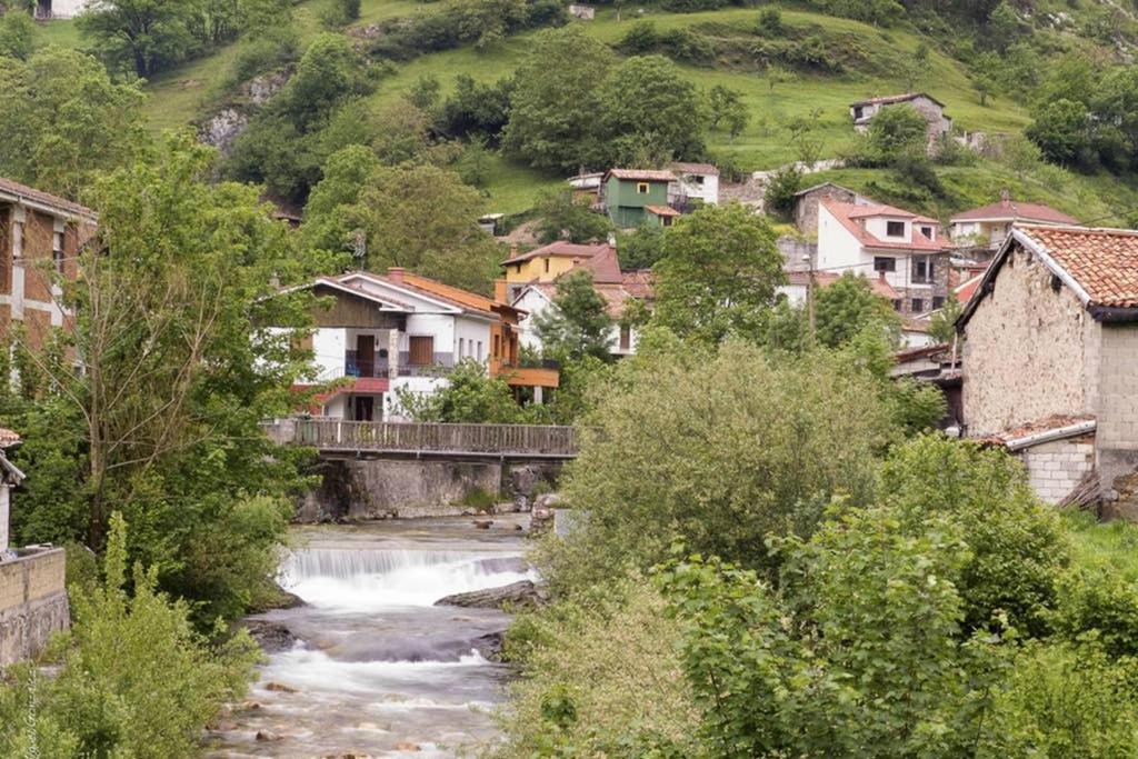 Los Molinos - Atico En Montana De Asturias Felechosa Extérieur photo