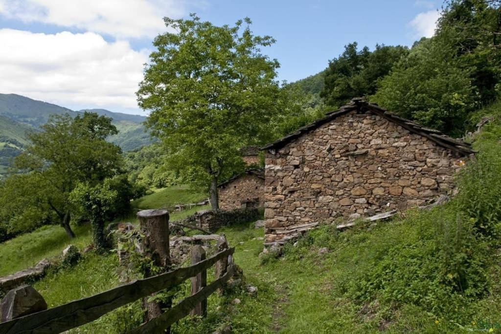 Los Molinos - Atico En Montana De Asturias Felechosa Extérieur photo