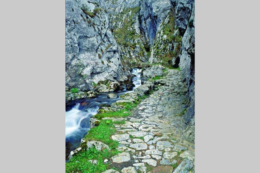 Los Molinos - Atico En Montana De Asturias Felechosa Extérieur photo