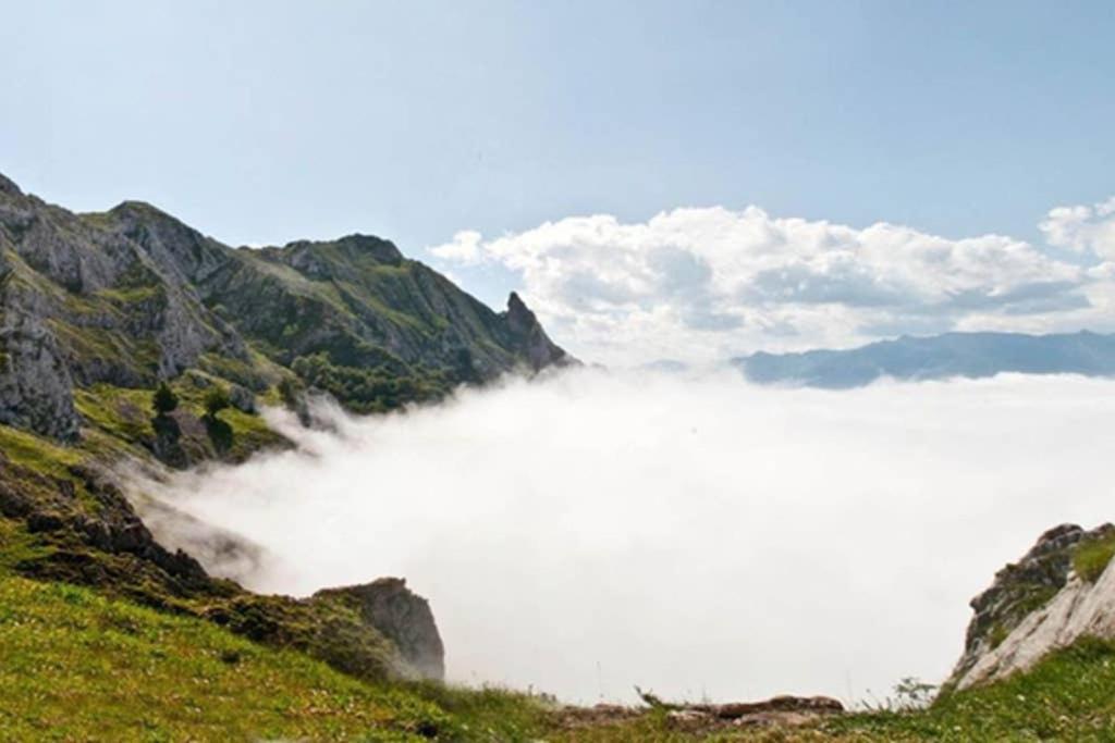 Los Molinos - Atico En Montana De Asturias Felechosa Extérieur photo